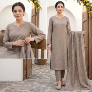 BAREEZE KASHMIRI V378
