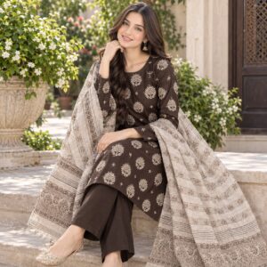 BAREEZE PASHMINA V385